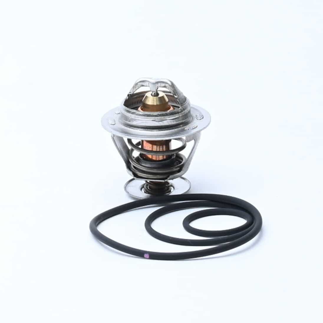 THERMOSTAT KIT - 23594887