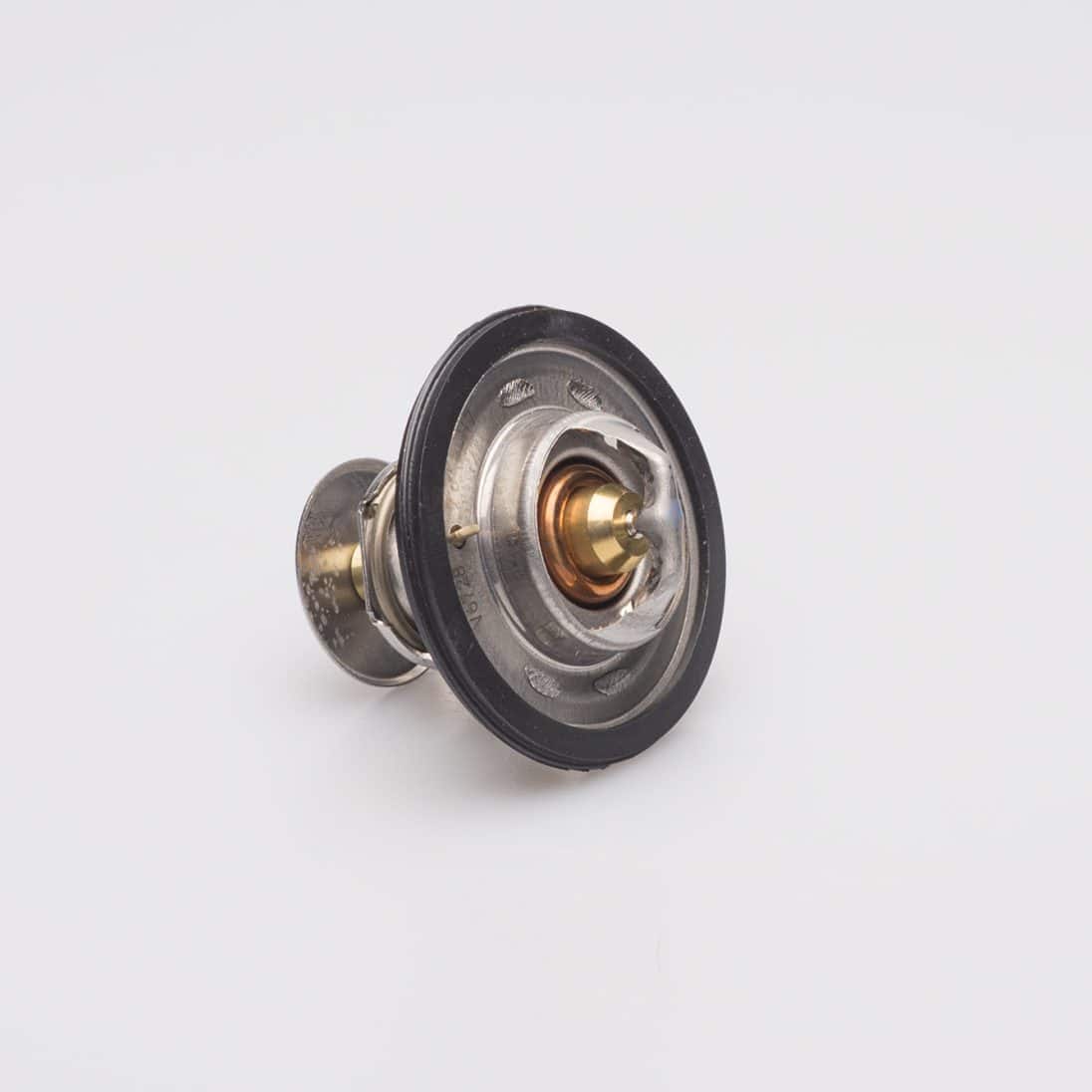 THERMOSTAT KIT - 3831425
