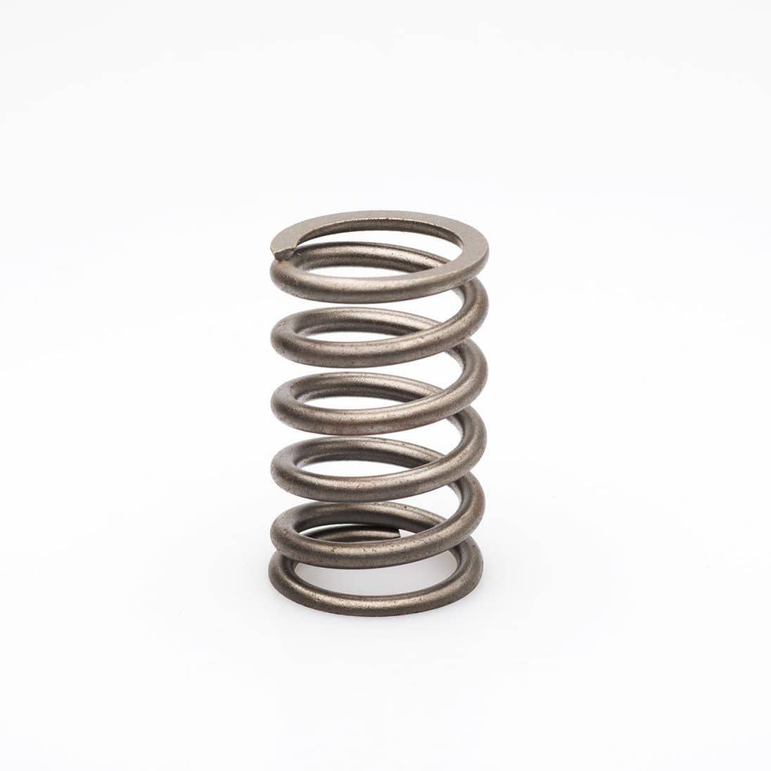 VALVE SPRING - 1543870