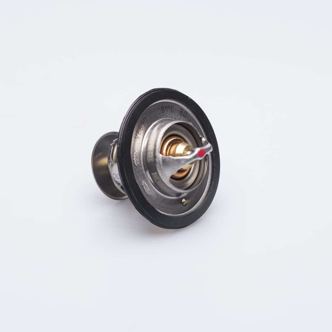 THERMOSTAT KIT - 3831424