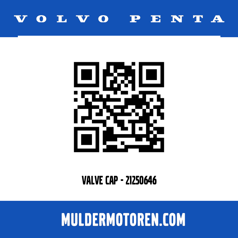 VALVE CAP - 21250646