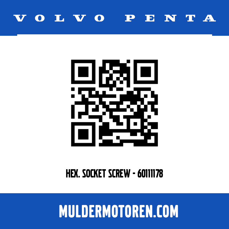 HEX. SOCKET SCREW - 60111178