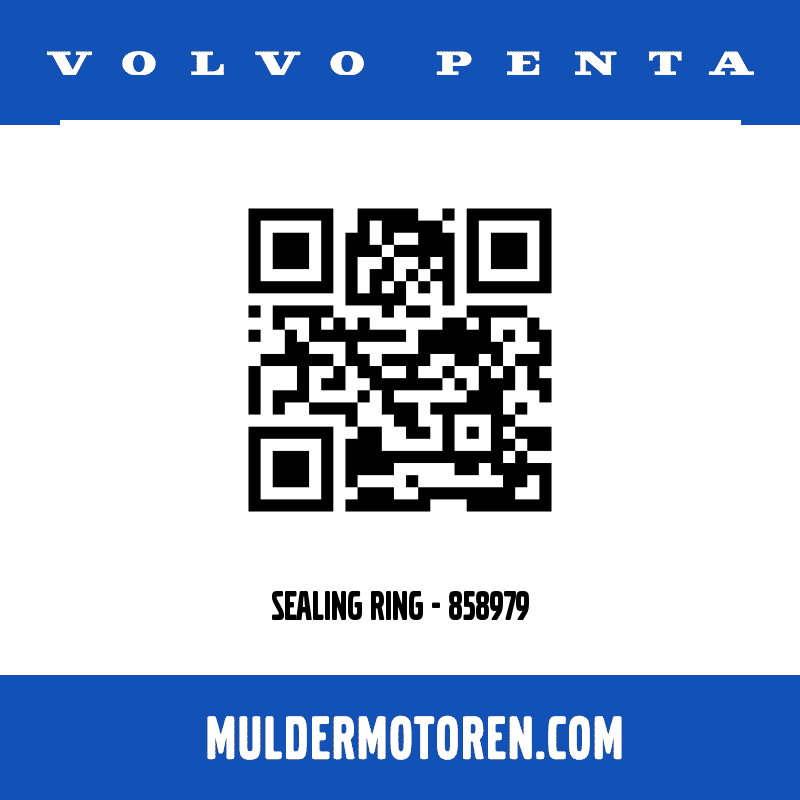 SEALING RING - 858979