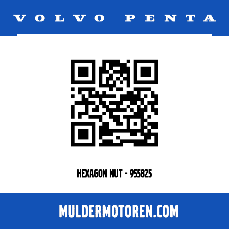 HEXAGON NUT - 955825