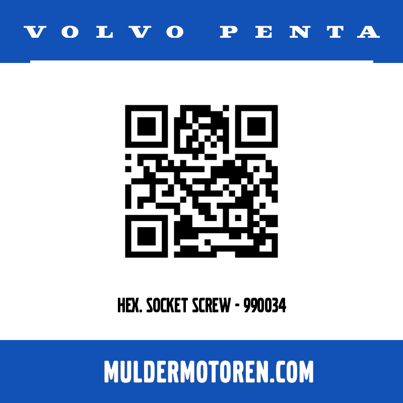 HEX. SOCKET SCREW - 990034